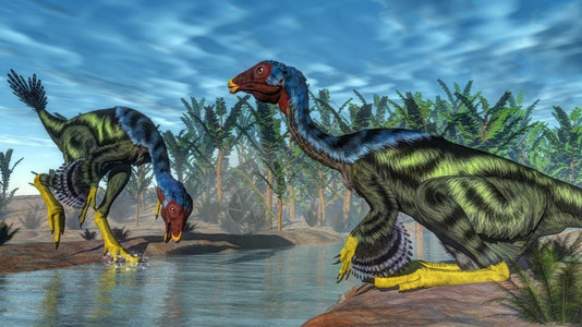 天安河原爬虫捕食者自然帕希普特里斯河旁的一条流上两个caudipteriix恐龙和原植物3D使Caudipteryx恐龙变成3D设计图片
