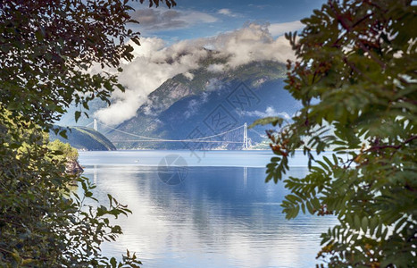 哈当厄尔维达挪威绿色高清图片