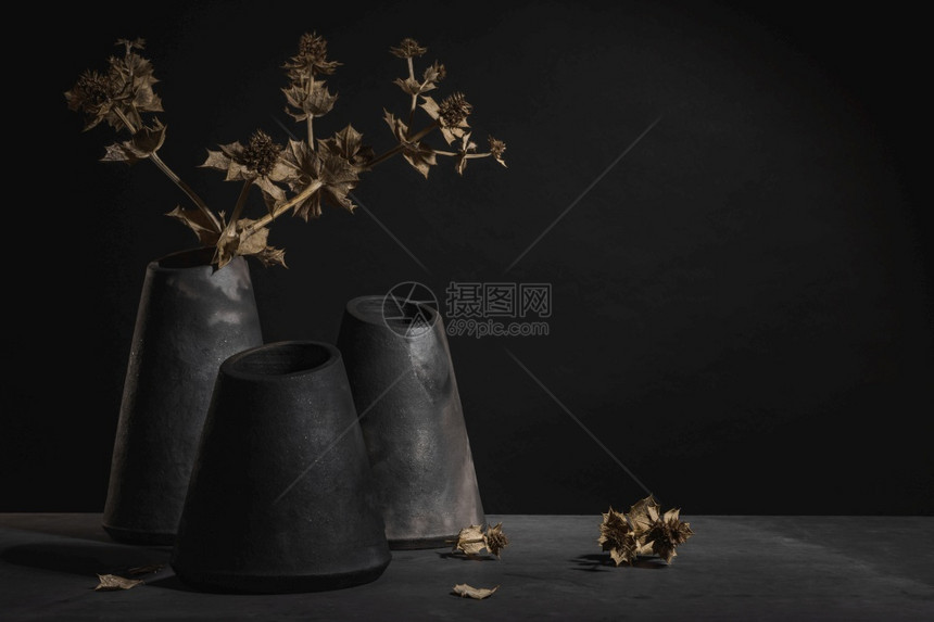 单色最佳装饰现代设计黑色瓷电房在暗顶和背景上装饰干燥天然植物图片