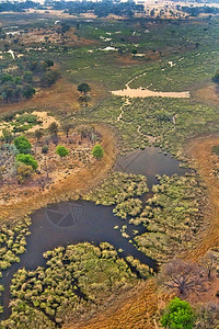 拉姆查兰生物学奥卡万戈湿地草三角洲教科文组织世界遗产地点拉姆萨尔韦特兰博茨瓦纳非洲荒野景观背景