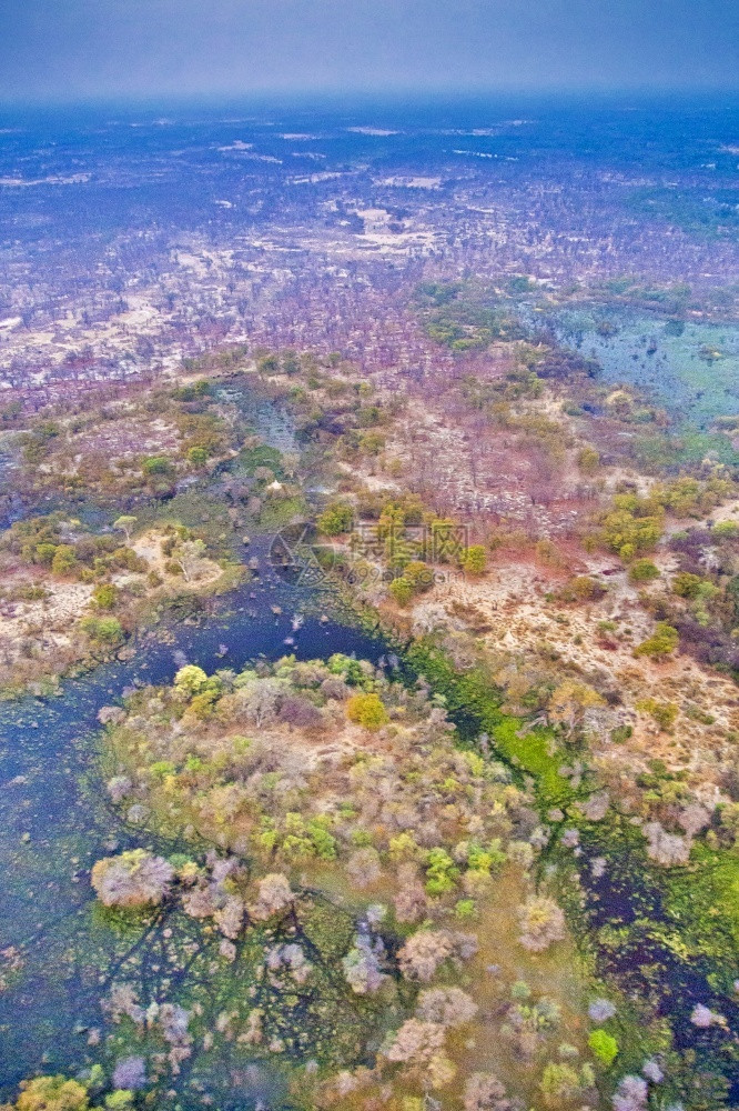 奥卡万戈三角洲奥卡万戈草地教科文组织世界遗产地点拉姆萨尔韦特兰博茨瓦纳非洲保护栖息地湿图片