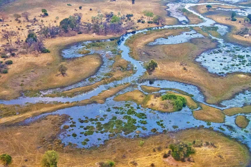 放松奥卡万戈三角洲奥卡万戈草地教科文组织世界遗产地点拉姆萨尔韦特兰博茨瓦纳非洲自然新鲜的图片