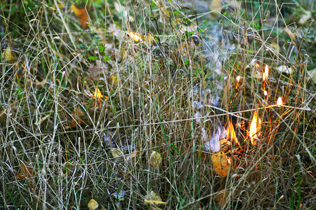黑色的污染现象草上火点燃森林中干草着火图片