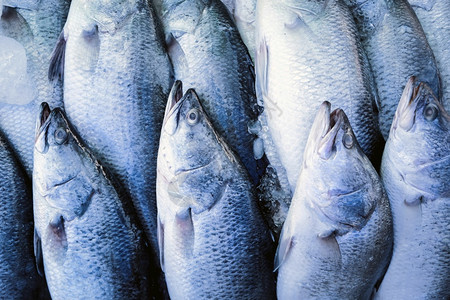 海鲜市场上的鱼图片