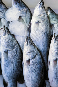 海鲜市场上的鱼高清图片