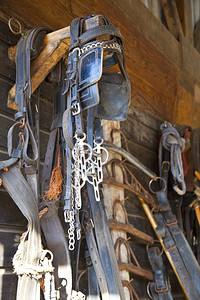 工具马术谷仓中墙壁上的马装备骑术图片