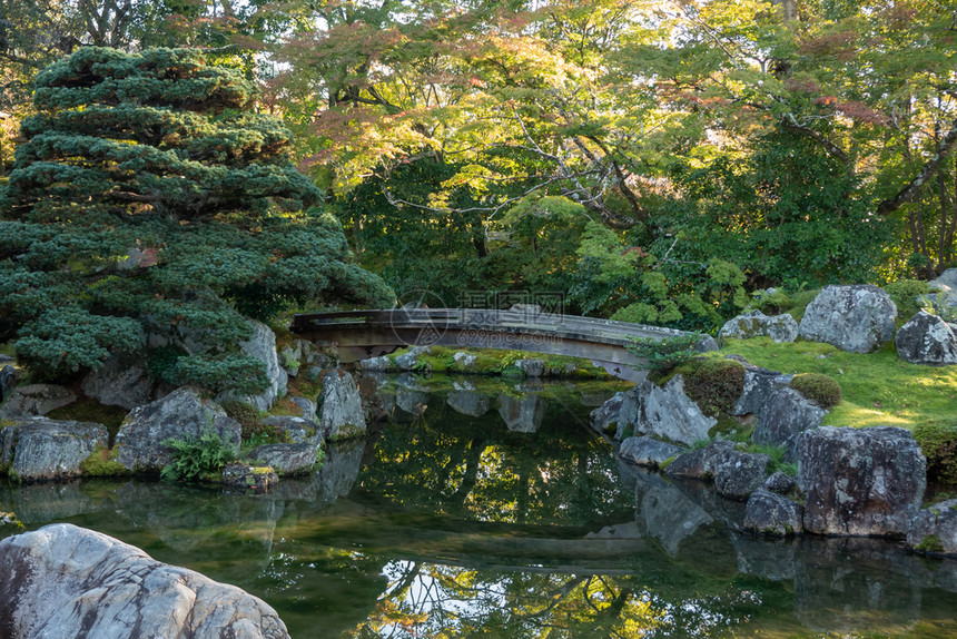 奥日本花园中的天然绿树日本花园落下神社图片