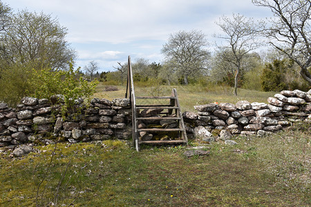 梯子一种在瑞典奥兰岛春天前在草原上用木板砖块状的老干石墙障碍图片