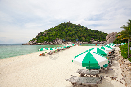公园绿色夏天泰国高南元的热带海滩图片