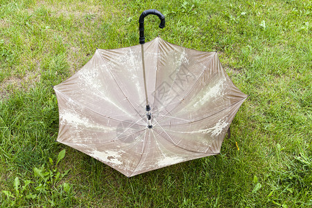 东西丢了一个废弃的旧褐色雨伞躺在绿草地上垃圾的旧雨伞里关闭一个被宠坏的东西自然物品城市背景