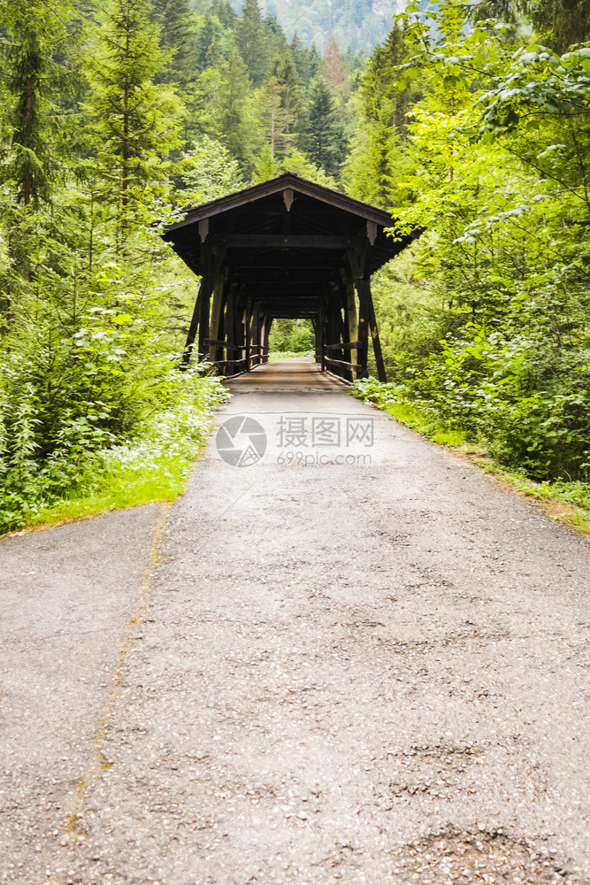 建筑学乡村棕色的横跨森林环绕河流木头覆盖桥图片