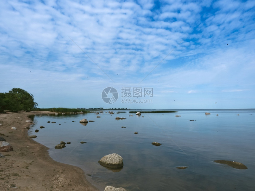 环境白色的支撑一群鸟在水库岸边海鸟从起飞海鸟从岸边起飞一群鸟在水库岸边图片