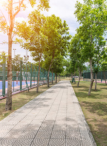 笼公园阳光下五人制足球场和网之间的瓷砖路面法庭草地图片