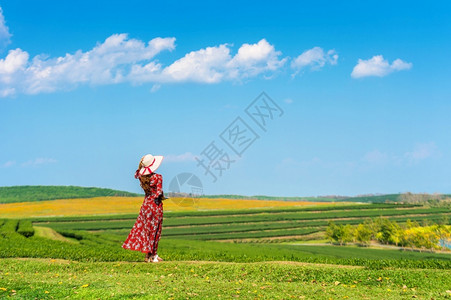 站在田野里的女人图片