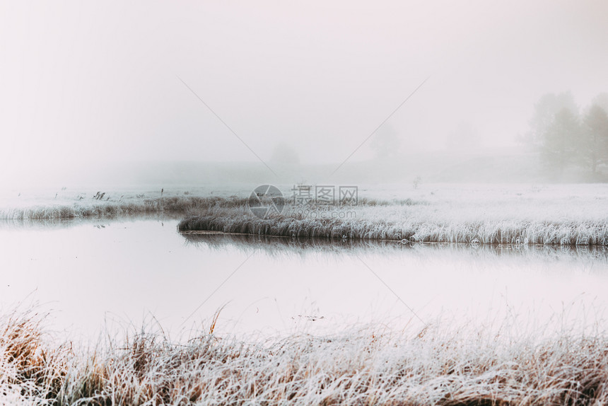 季节美丽的湖镜边水草上霜在边的草地上环境图片