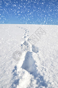 谷地平线雪上的脚足迹堤设计图片