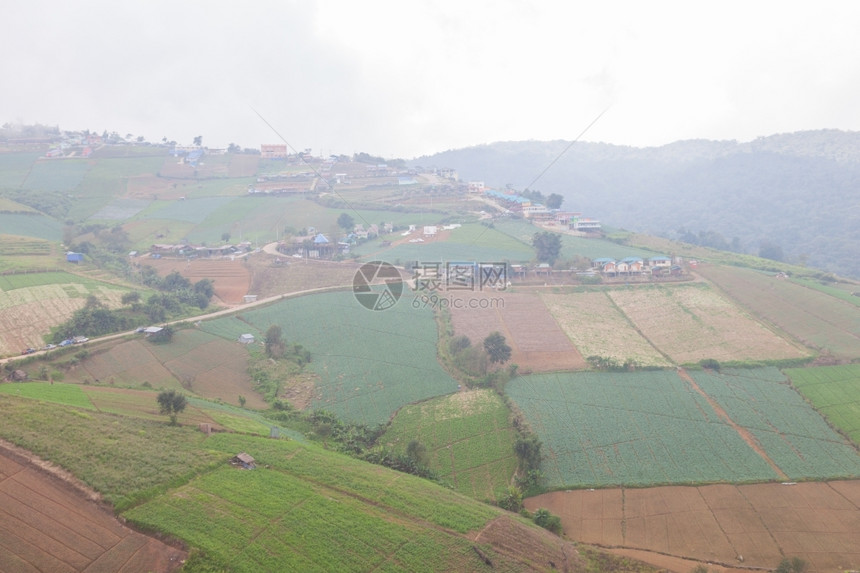 草地屋土村民们在山上种植一般的庄稼在山上耕种一般的作物图片