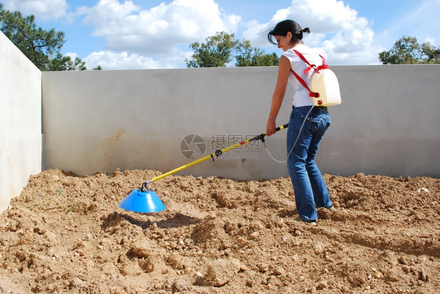 毒草本植物妇女用硫酸盐对土壤施肥工具图片