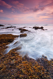 海浪冲击直线撞海滩上的岩石自然日落夜晚图片