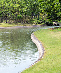 和平公园中的小干净池塘风景优美干净的图片