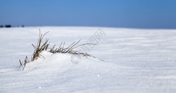 斯特罗姆暴风雪和降后白桑尼天气下深雪漂流白纯森林太阳美丽背景