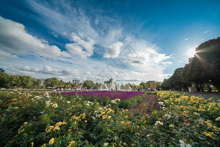 高尔基公园与中央喷泉的全景草蓝色闲暇图片