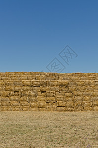 粮食谷物一堆干草篮子垂直拍摄小麦图片