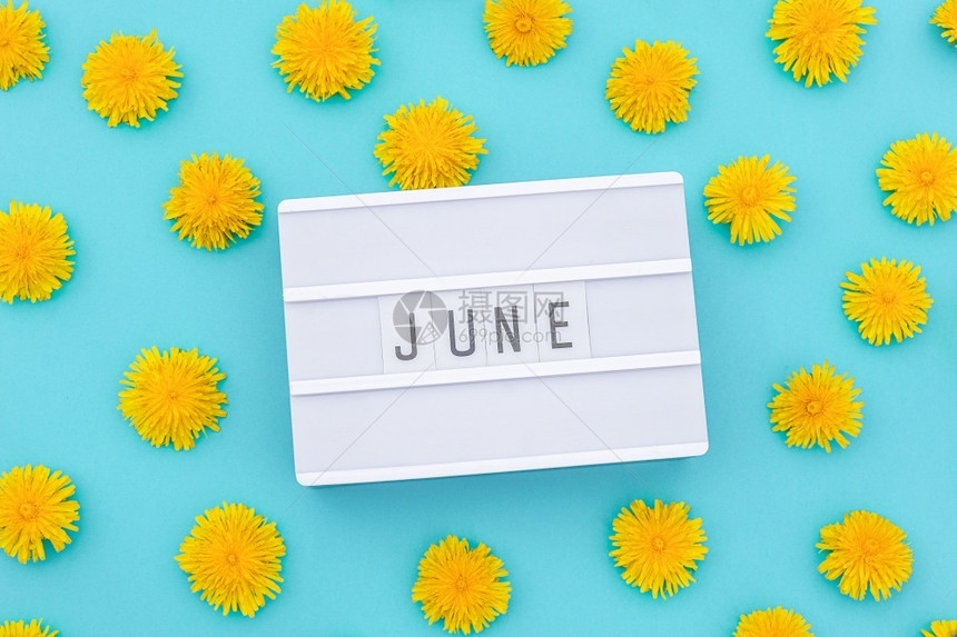 灯箱上的文字六月和蓝色背景上的黄蒲公英概念你好夏天顶视图平躺盒子蓝色的自然图片