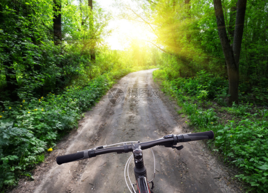 户外季节乡村的路边右转运动车在通往明太阳的森林路面背景上向阳光的森林路背景上图片