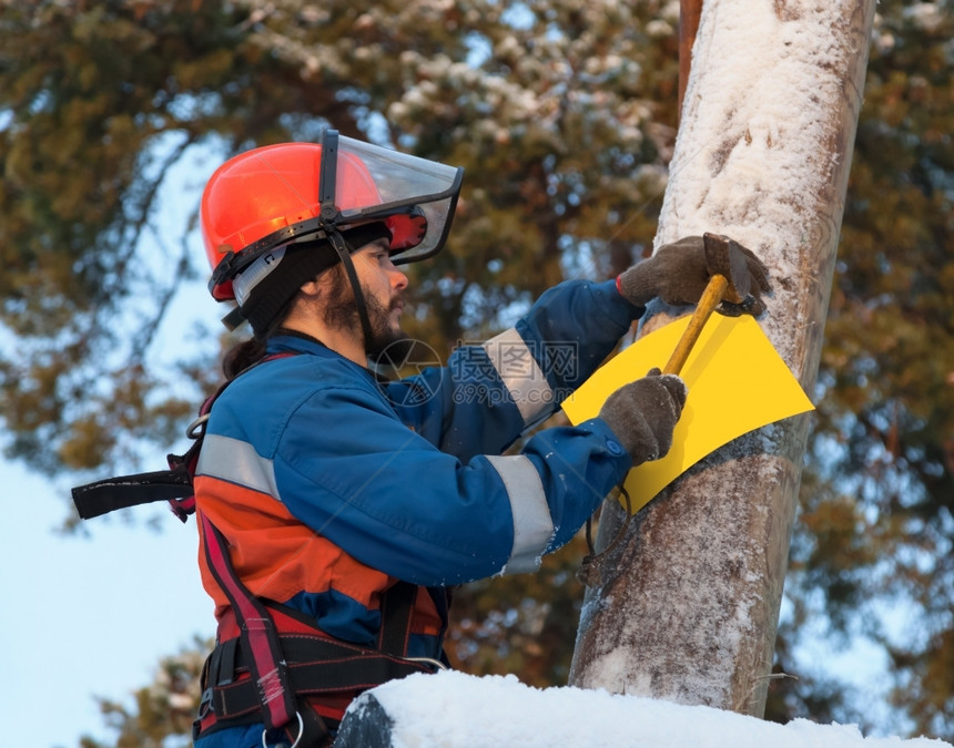木制的高塔架在冬季A区树林中电平柱信息标志附属于电流高压器图片