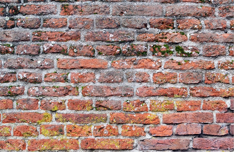 地衣结石不朽的荷兰瓦塞纳尔一堵古城墙的详情荷兰瓦塞纳尔图片
