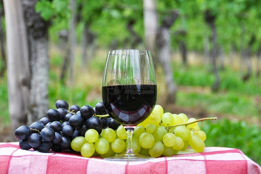 红酒和葡萄生活玻璃藤蔓图片