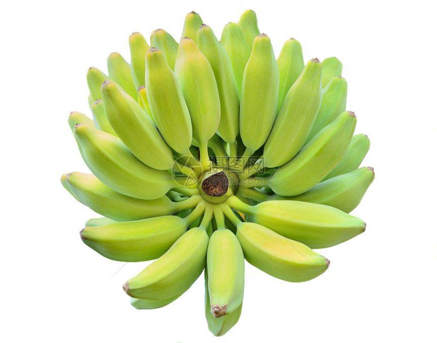 一大串新鲜香蕉图片