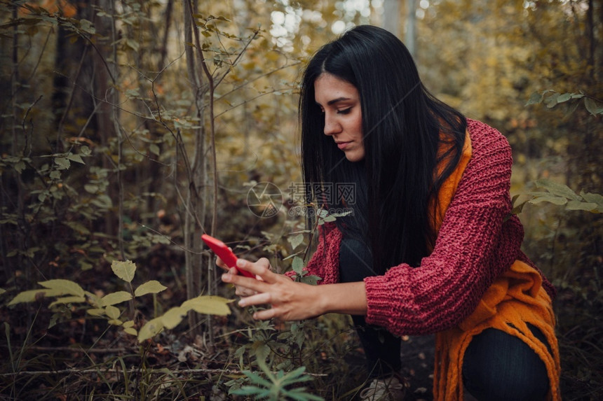 年轻的本土化头发女人在森林里用她的手机拍照片图片