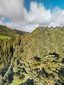 衬套夏天Wawahomo农村春天新西兰山丘全景的春光本国图片