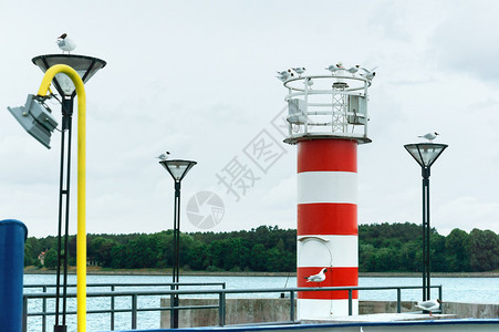 红色的海洋绿白灯塔上的海鸥码头灯塔红白码头上的图片