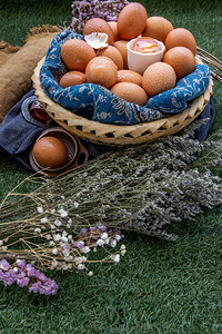 篮子营养概念复制空间选择重点的母鸡新鲜蛋生的农业新鲜图片