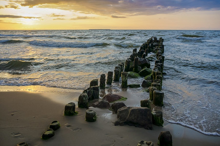 波罗的海沿岸日出上落波罗海沿岸日出场景旅行黎明图片