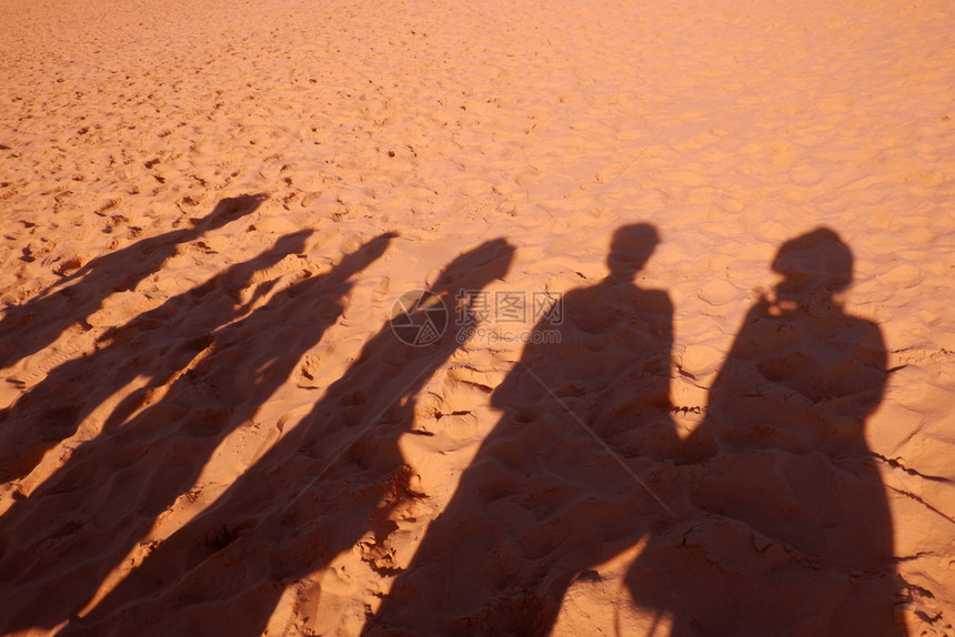 太阳活动沙上有六只母的阴影闲暇图片