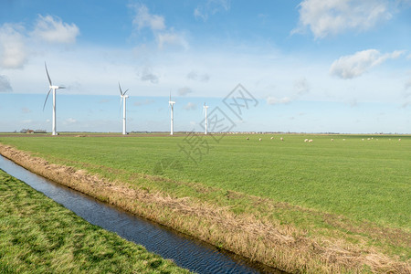 天空荷兰语风警告2016年月在荷兰弗里斯警告的牧场图片