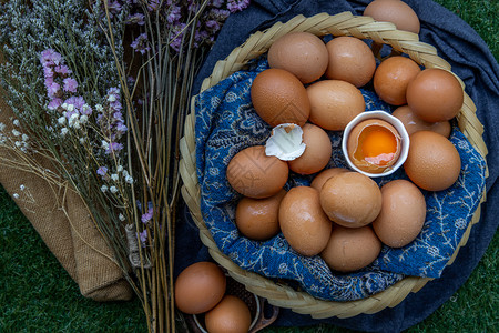 可选择的有机关于篮子营养概念的母鸡新鲜蛋Topview选择重点农场图片
