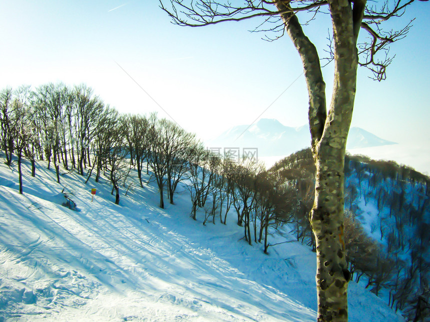 冬季雪山雪景图片