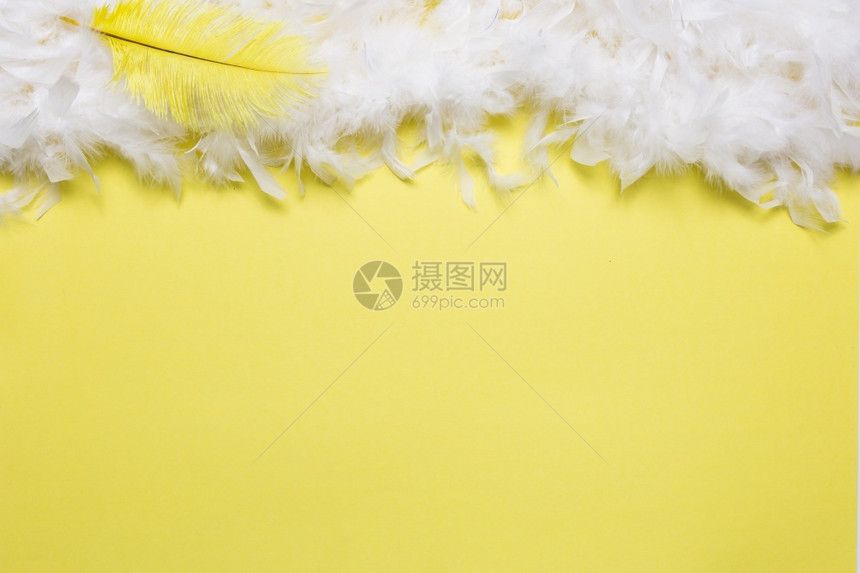 天空溪流鹅毛笔黄色羽白图片