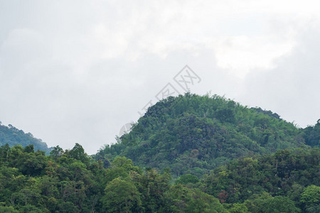 野生动物覆盖山岳的树在天雨季节多云乡村的森林图片