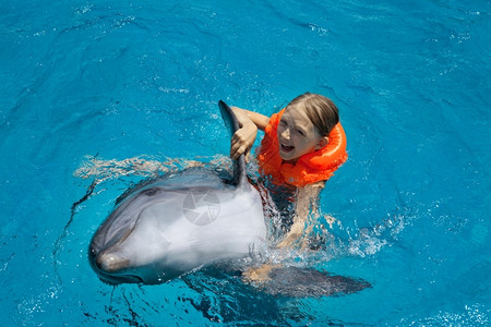 男孩和海豚女孩与海豚一起游泳背景