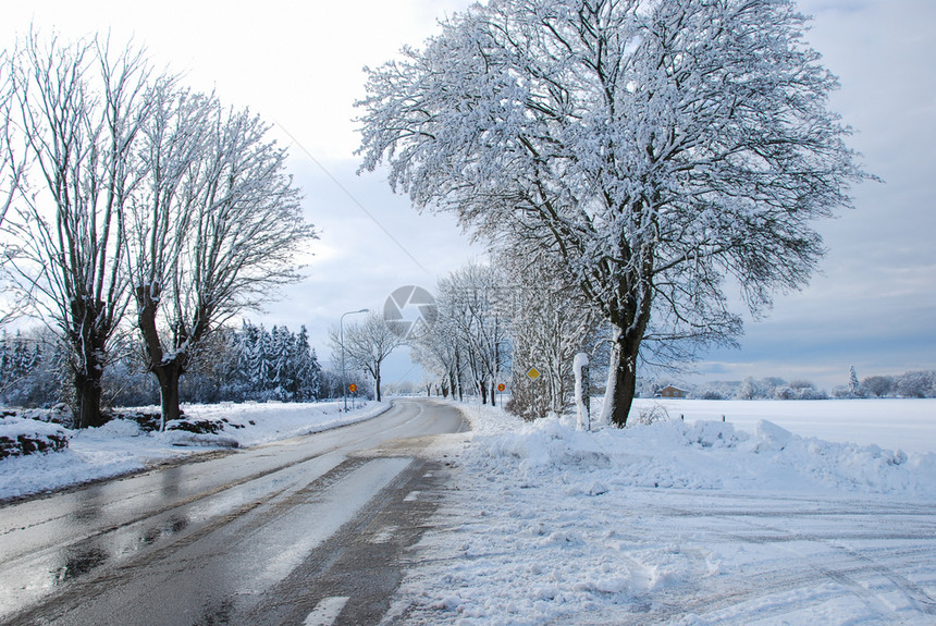 乡间公路上的雪和冰融化通过一个温柔的景色自然场寒冬图片