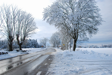 乡间公路上的雪和冰融化通过一个温柔的景色自然场寒冬图片