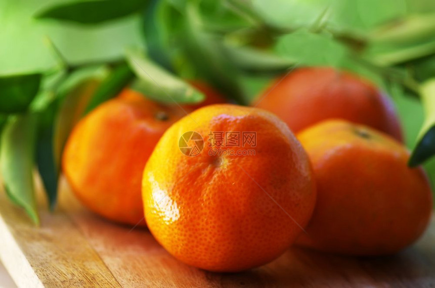 生的绿背景有叶子柑橘橙或桌子健康图片