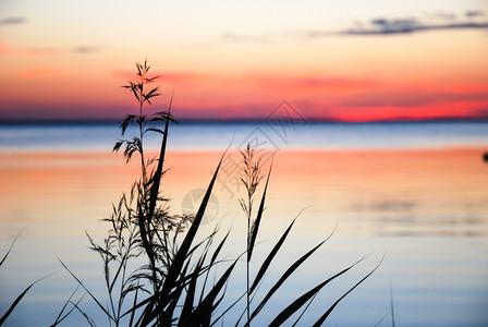 黎明充满活力在色彩繁多的日落下海岸边的长丰富多彩图片