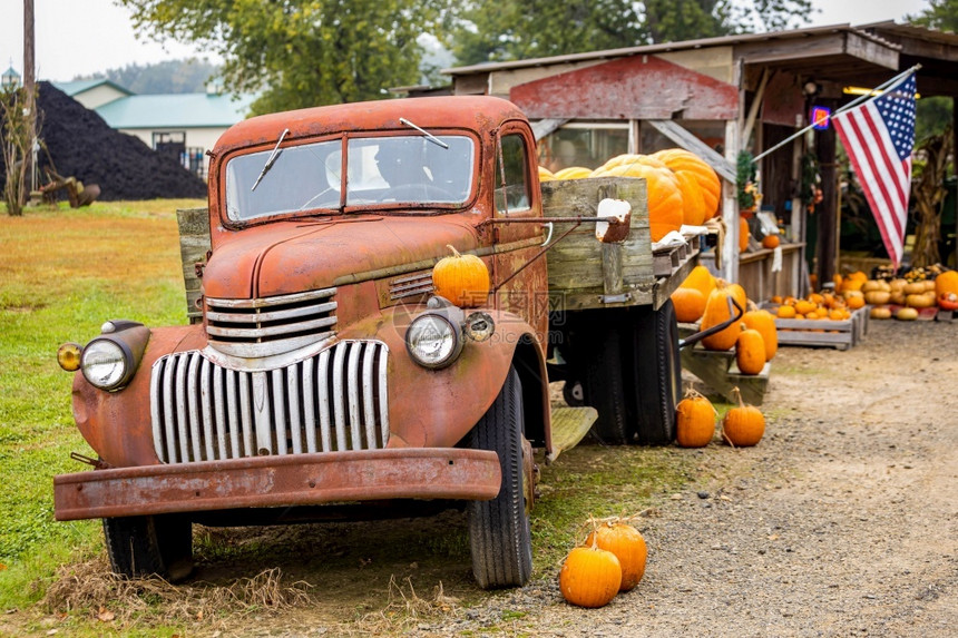 装满南瓜的卡车悬挂美的农民在秋天收获户外的丰时象征着他们装满南瓜的卡车悬挂美的农民在秋天象征着他们落下万圣节花园图片